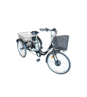 Tricycle électrique adulte SE300R-36