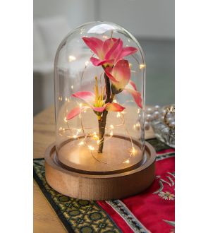 Le dôme lumineux LED orchidée